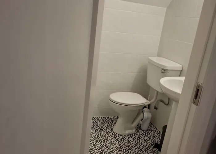 Crurtin Kitty's 킬라니