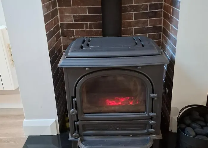 Crurtin Kitty's 킬라니