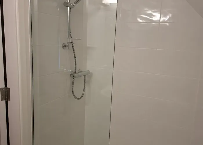 Crurtin Kitty's Killarney